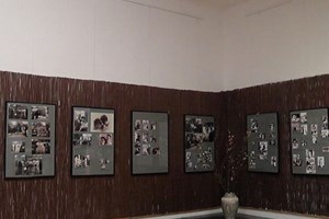 Vietnamese wedding photos exhibited in Berlin